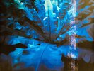Hum (2) - Downward Is Heavenward - (2 x Vinyl, LP, Album, Reissue, Black) (Mint