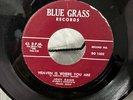 JOEY RAND - The Long Blond Curls - Rockabilly BLUEGRASS R&B Stroller RARE 45