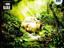 Weezer - Sznz:Spring Glow In The Dark Vinyl Edition (EU)
