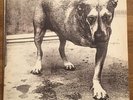 Alice in Chains by Alice in Chains (Vinyl, Nov-1995, Columbia (USA))  Tripod