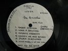 THE INVICTAS UNRELEASED MICHIGAN TEST PRESS GARAGE LP  LISTEN