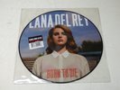 LANA DEL REY Born To Die Vinyl LP Picture Disc RARE OOP - RSD 2013 Ltd Ed