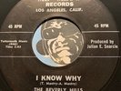 BEVERLY HILLS PAINTERS Doowop 45 Me Meow #2325 I Know Why b/w Five Foot Three M-