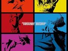 COWBOY BEBOP LP-BOX [First press limited edition] [Analog 11-disc set] [Analog]