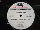 TERRENCE ROBI IM GONNA SHOW YOU MJP RECORD COMPANY FROST BYTE ENTERTAINMENT