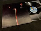 STEELY DAN 