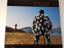 Pink Floyd - Delicate Sound Of Thunder - Vinyl Double LP UK 1st Press NM/EX+