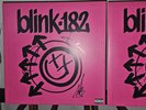 SIGNED BLINK 182 LP ONE MORE TIME BAND AUTOGRAPHED ONE MORE TIME CLEAR VINYL