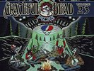 Grateful Dead Dave's Picks 23, Vinyl, Used