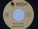 Modern Soul 45 MELLOW MADNESS Save The Youth/Going Going Gone on Mega