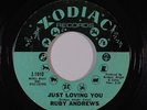 Northern Soul 45 RUBY ANDREWS Just Loving You/The Love I Need on Zodiac