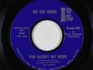 Northern Soul 45 - Big Dee Irwin - You Satisfy My Needs - Rotate