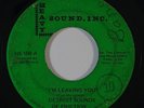 Northern Soul 45 DETROIT SOUNDS OF FRICTION I'm Leaving You/Stop Him Girl