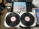 CHRIS GRAY Fish & Luvconfushun 2X 12