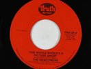 70s Soul 45 - Newcomers - The Whole World's A Picture Show - Truth - VG+