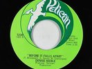 Crossover Soul/Funk 45 - Denise Keeble - Before It Falls Apart - Pelican - VG+