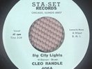 Cleo Randle Big City Lights / You Got Everything Vinyl 45rpm Northern Soul NM