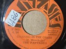 rare THE FANTASIES Grenada 45 Grazing In The Grass 7