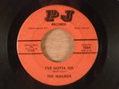 The Malibus  I've Gotta Go/I Want You To Know  RARE  Garage 1966 PJ Records