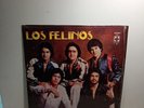 LOS FELINOS 