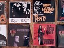 Set Of 8 Misfits/Danzig Vinyl 7
