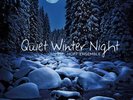 Hoff Ensemble Quiet Winter Night: An Acoustic Jazz Project (Vinyl LP)