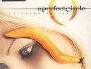 A Perfect Circle Thirteenth Step - LP 33T x 2