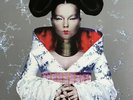Björk - Homogenic Vinyl, LP, Album, Reissue