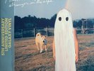 Vinyl - 5th Anniversary Stranger In The Alps GALAXY COLORED LP - Phoebe Bridgers