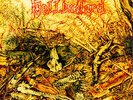 Hellbastard - Heading For Internal Darkness Red Vinyl  (1988 - UK - Reissue)