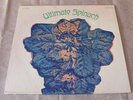 ULTIMATE SPINACH / Same OG USA 1st PRESS LP 1968 ESSENTIAL CLASSIC PSYCH PROG
