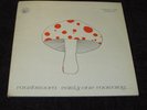 MUSHROOM / Early One Morning OG IRELAND 1st PRESS LP 1973 GREAT FOLK PSYCH GEM