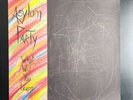 Asylum Party What Will You Learn LP with Insert Vinyl Record France 1989