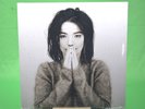 Björk - Debut - Vinyl LP [New & Sealed] HUMAN BEHAVIOUR/BIG TIME/           C593