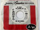 Northern soul 45 DEE DEE BARNES Do WHAT YOU WANNA DO promo Arctic NM