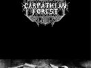 Carpathian Forest Black Shining Leather (Vinyl) 12