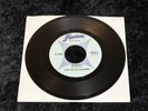 Lyn and the Invaders - Secretly / Boy Is Gone  RARE MICHIGAN GARAGE FENTON 2040