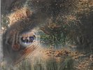 Pink Floyd – A Saucerful Of Secrets (SX 6258) [UK] Vinyl 1st Pressing VG+
