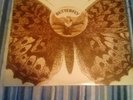 The Hollies – Butterfly 1967 Uk 1st press LP - see description - test played