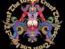 The Insect Trust The Insect Trust (Vinyl LP) 12