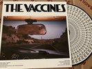 The Vaccines - Pick-Up Full Of Pink Carnations: Blood Records Zoetrope Vinyl