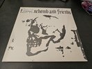 Tim Timebomb And Friends RSD Gold Vinyl Sealed