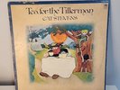 Cat Stevens Tea for The Tillerman AM Records SP4280 1970 Disc Awesome Condition