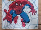 The Amazing Spiderman 'ROCKOMIC' Original Vinyl LP Feom Beyond The Grave Story