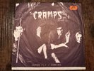 The Cramps: Human Fly Rare Vinyl Single Original Pressung Punkrock Klassiker
