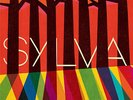 Snarky Puppy & Metropole Orkest Sylva (Vinyl) 12