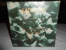Kate Bush The Single File 1978-1983 NM 13 x 7