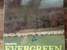 Calcutta Evergreen LP Vinile COLORATO Green - 1° STAMPA 2018