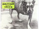Alice In Chains - S/T 2xLP - Columbia SEALED