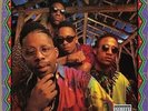 Brand Nubian One for all (Vinyl) 30th Anniversary  12